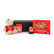 Articles du coffret cadeau jeux enfant Puy du Fou présentés devant la boîte : peluche ours chevalier, jeu de cartes, boule à neige et livre illustré.