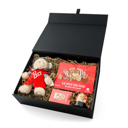 Coffret cadeau jeux enfant ouvert en perspective : peluche ours chevalier, livre, jeu de cartes et boule à neige disposés dans la boîte aimantée.