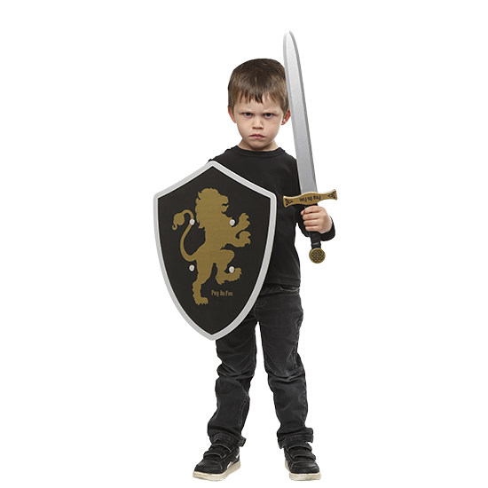 Bouclier bois roi Arthur